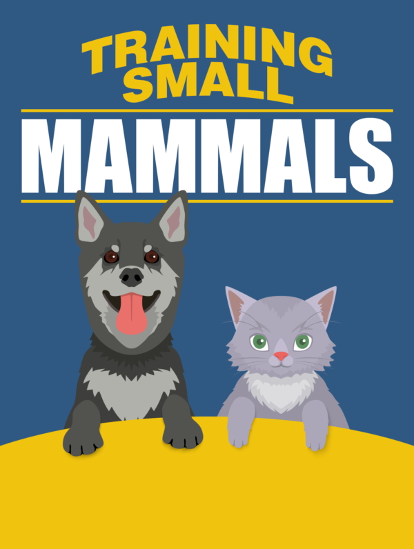 Training Small Mammals